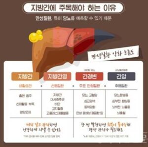 지방간에 위험성