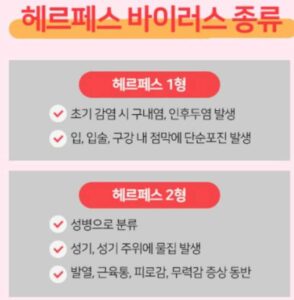 헤르페스종류