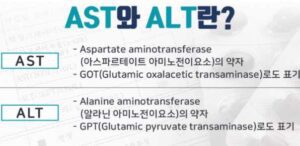 간수치AST,ALT